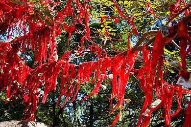 《自杀小队：消灭正义联盟》BUG对话泄露未来新角色