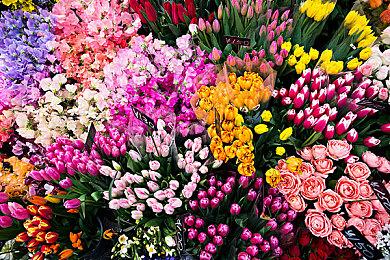 投票显示超95%的国外玩家反对强制“包容性”